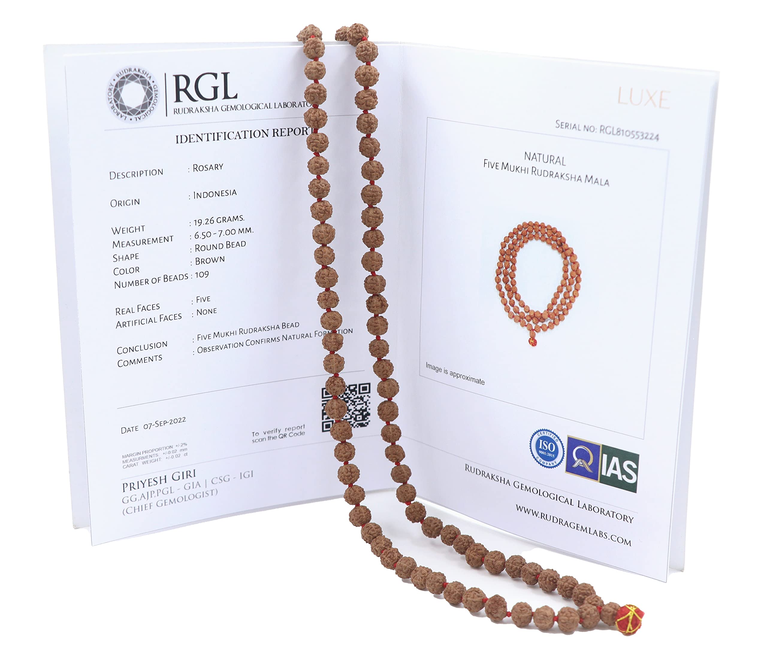 ミワちゃん　ルドラクシャマーラー　オール2ムキ Amazon.co.jp: SHIVOHAM セミチクナ/パトリ ルドラクシャ マーラ